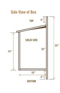 DIY Birdhouse Illustration